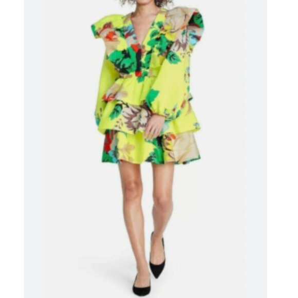 NWT Christopher John Rogers Premium Designer Ruffle Dress - Picture 1 of 7